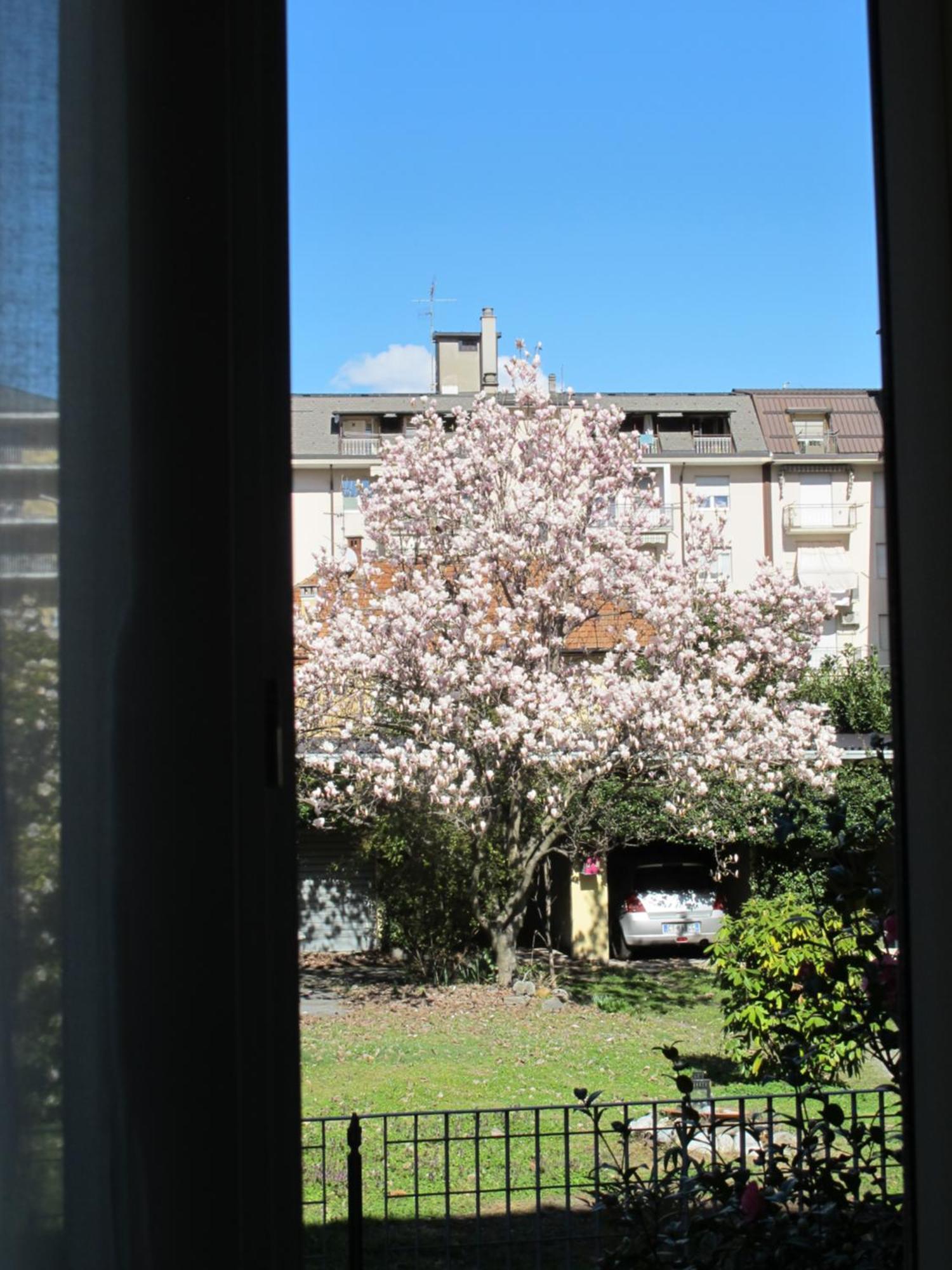 Domus Mea Domodossola Exterior foto